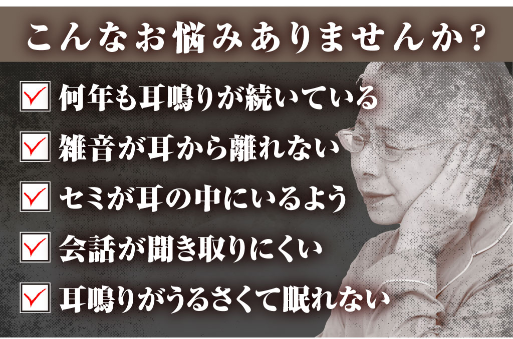 八味地黄丸説明