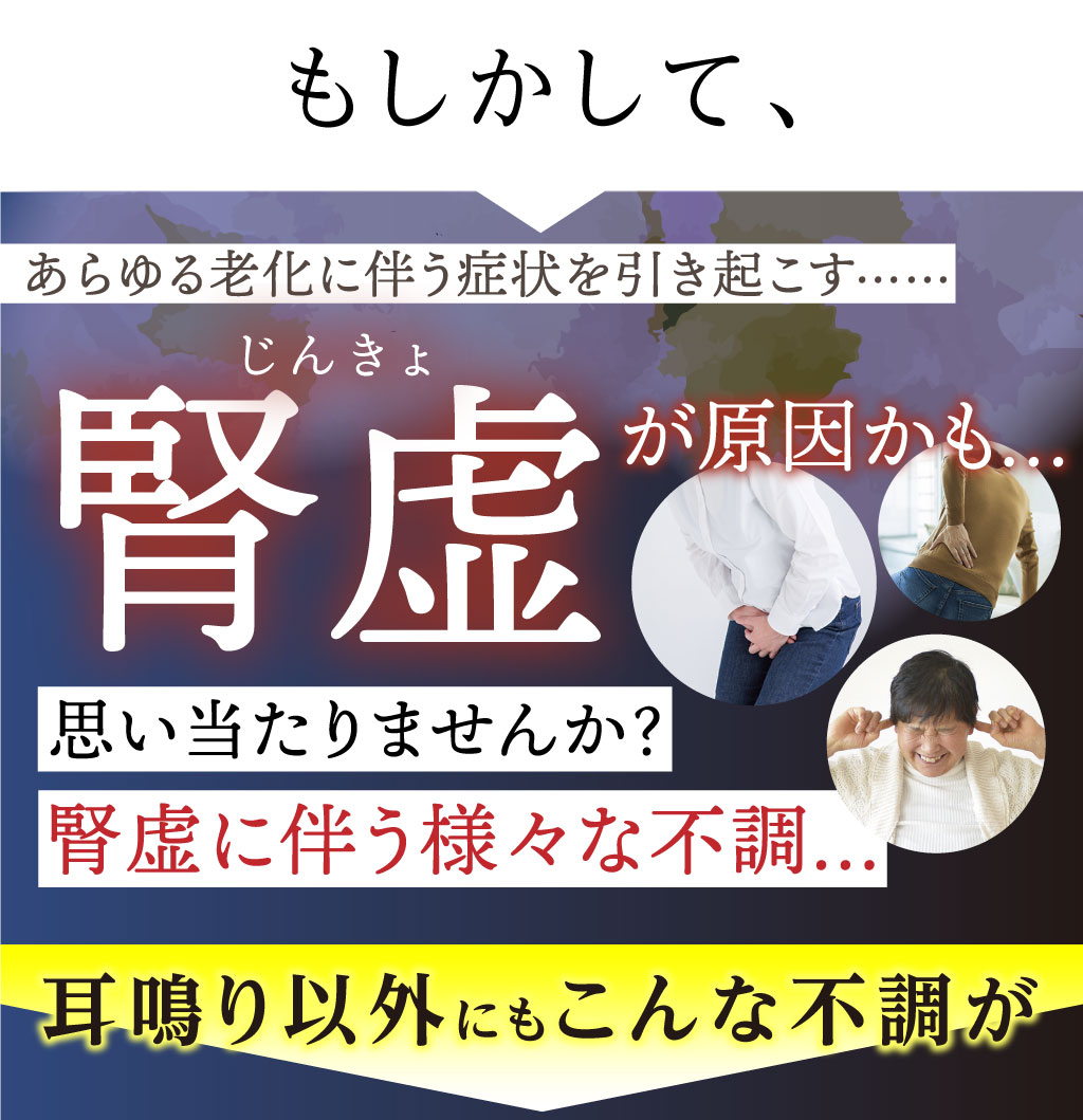 八味地黄丸説明