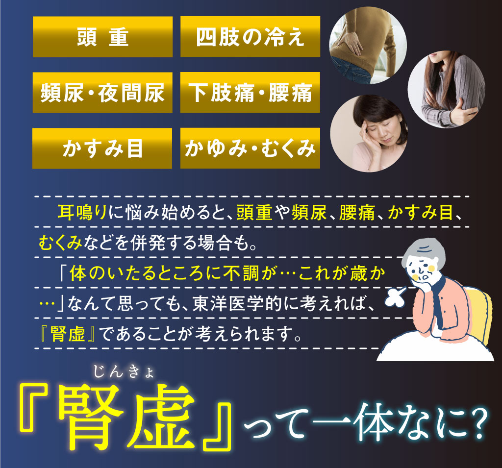 八味地黄丸説明