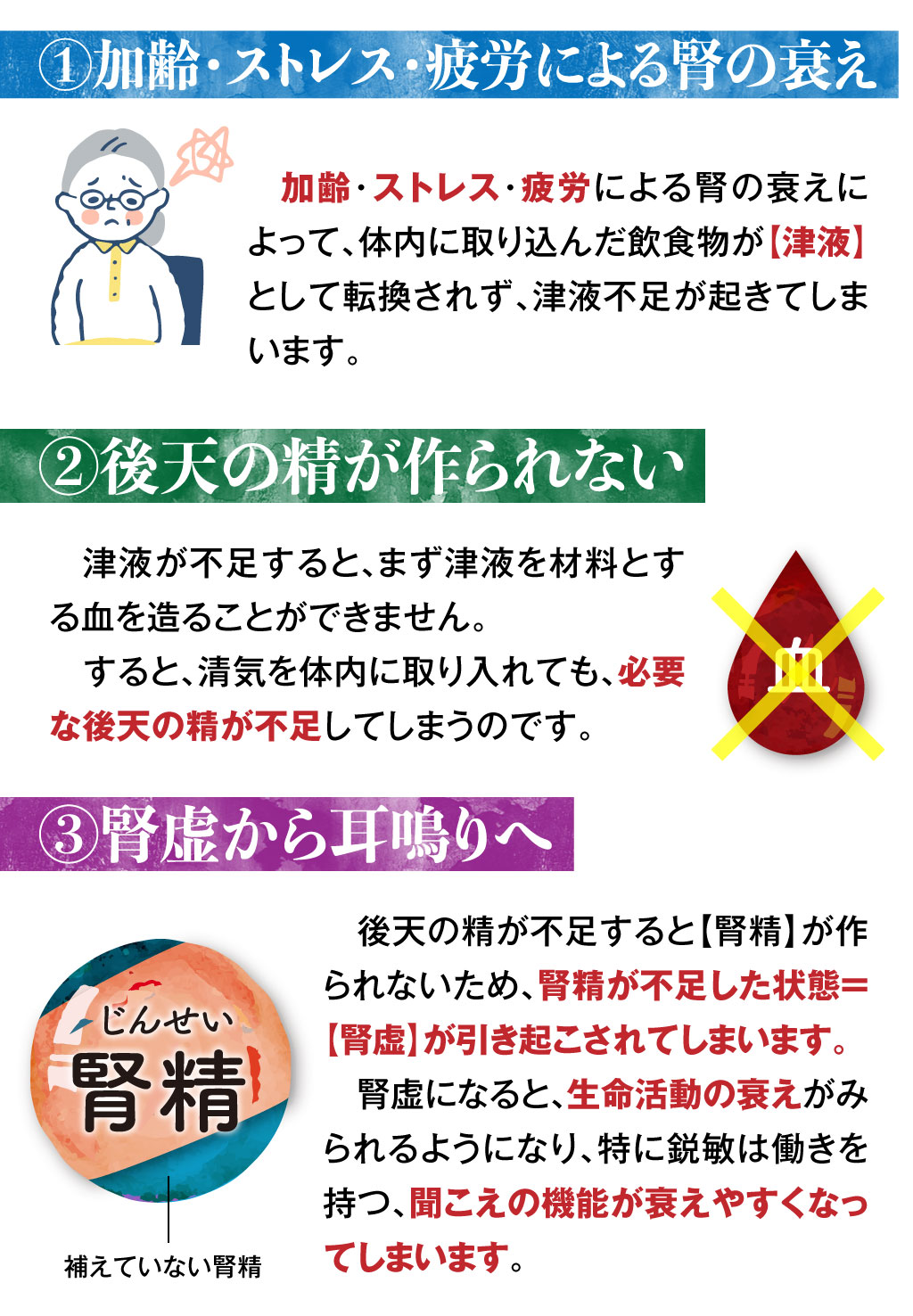 八味地黄丸説明