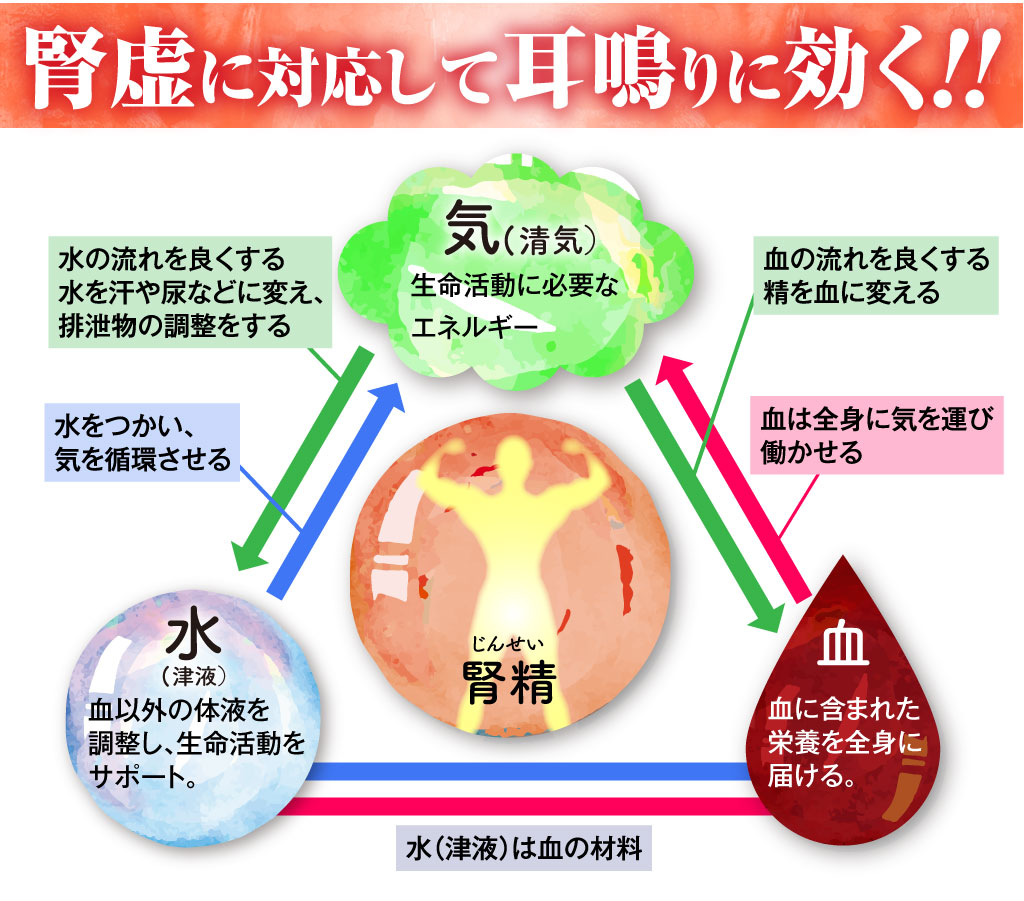 八味地黄丸説明