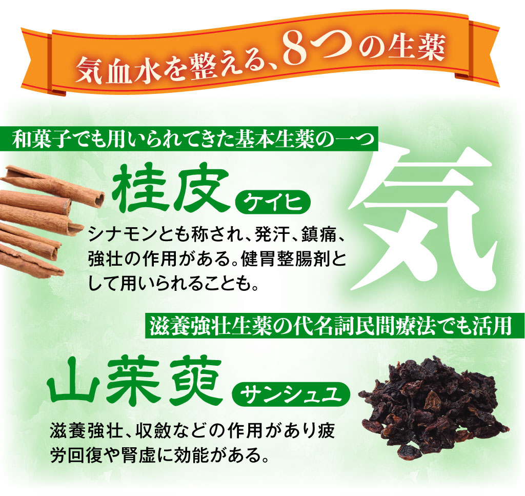 八味地黄丸説明
