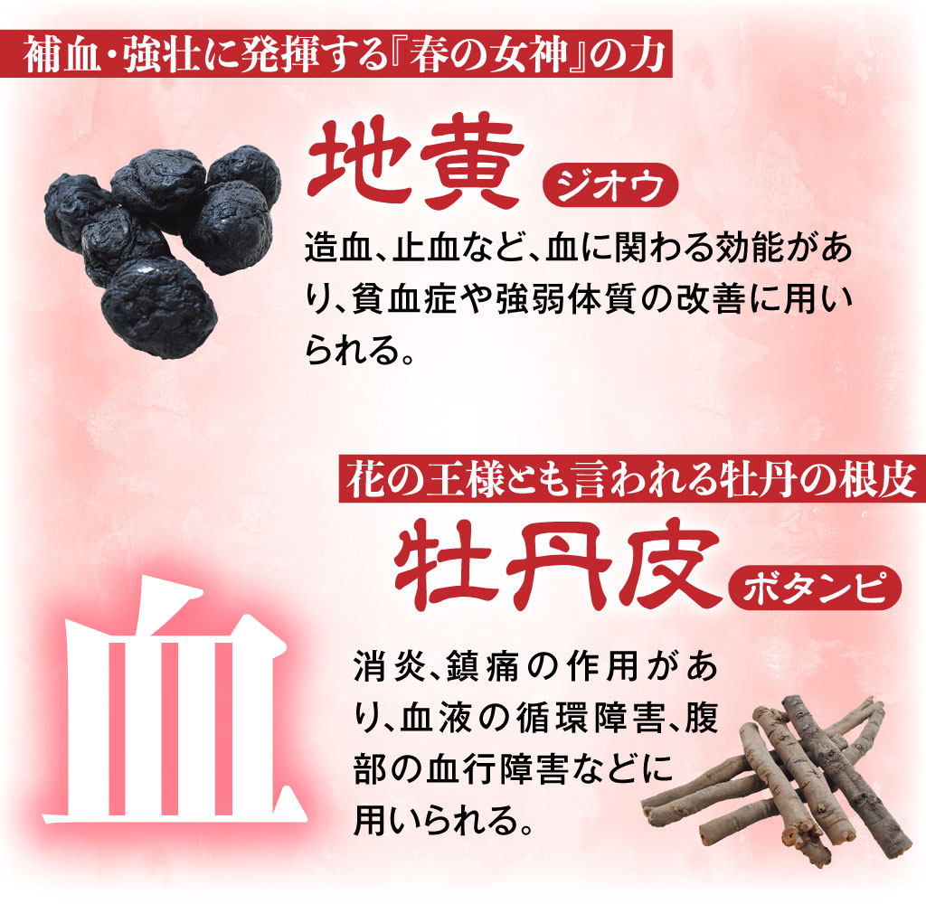 八味地黄丸説明