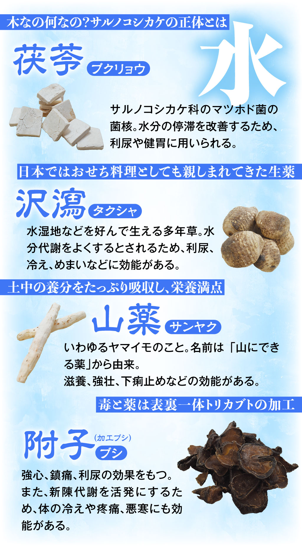 八味地黄丸説明