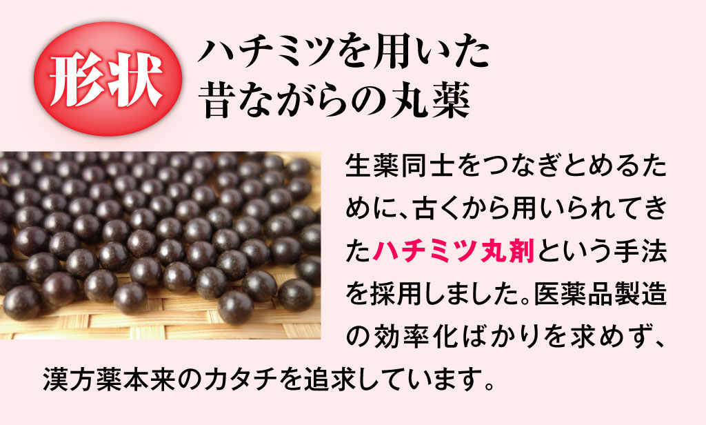 八味地黄丸説明